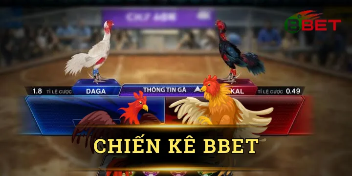 Chiến kê BBet - Sàn đấu gà đỉnh cao cho người đam mê cá cược