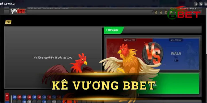 Kê vương BBet - Xem, cược đá gà kiếm thưởng cực dễ dàng