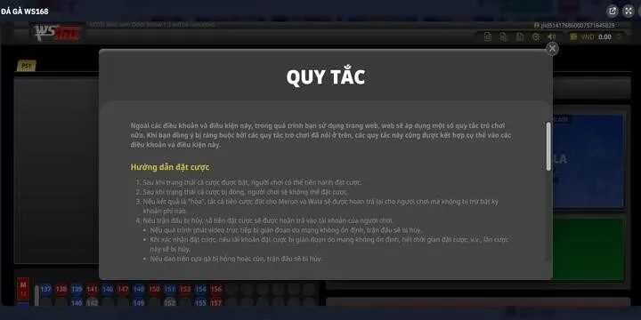 Cược tại Kê vương BBet nhận thưởng hấp dẫn